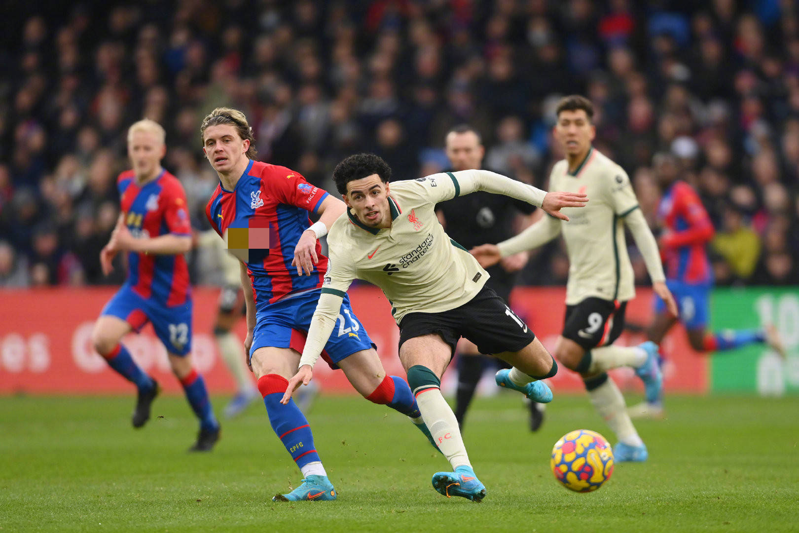 的重要组成 的重要组成